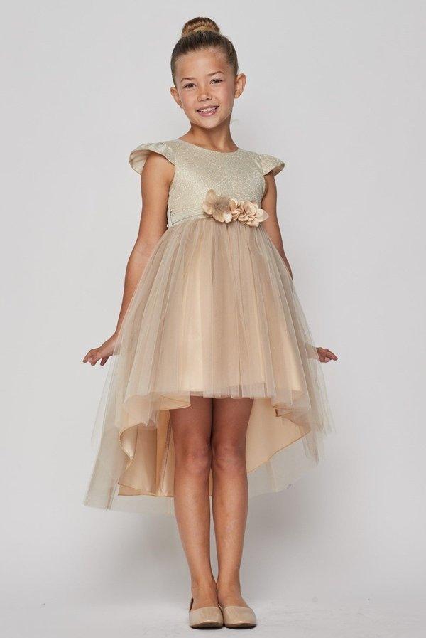 <p>This dress is perfect for you! It will make you look like a princess and leave all of your friends in awe. Featuring cap sleeve glitter bodice and is made tulle skirt with matching 3D flower sash belt and keyhole cutout back. This one has been fully lined so you can feel comfortable while wearing her finest outfit. It's so fashionable and cute, you'll feel like a real princess wearing it!</p> <p> </p> <p>Fabric : Lace, Satin, Soft Tulle</p> <p>Length : High Low</p> <p>Closure : Zipper Back</p> <p>Sleeve Style : Cap Sleeve</p> <p>Colors : Champagne, Mauve, Blush</p> <p>Sizes : 2, 4, 6, 8, 10, 12</p> <p>Fully Lined</p> <p>Soft Cup Inserts</p> <p>Occasion : Weddings-Princess Dress-Flower Girl Dresses-Formal Events</p>