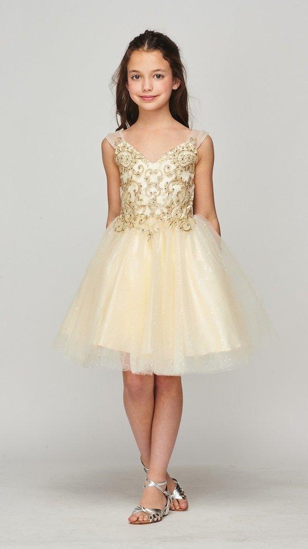 <p>This dress is for any flower girl, who wants to feel like a princess. The dress is fully lined with a sleeveless style that makes it easy to dance all night long. Whether for a princess, a bridesmaid or flower girl, this dress is perfect to bring a little extra sparkle to the occasion.</p> <p> </p> <p>Fabric : Satin, Tulle</p> <p>Length : Knee - Above Knee</p> <p>Sleeve Style : Sleeveless</p> <p>Closure : Zipper Back</p> <p>Color : Champagne</p> <p>Sizes : 4, 6, 8, 10, 12, 14, 16</p> <p>Fully Lined</p> <p>Soft Cup Inserts</p> <p>Occasion : Weddings-Princess Dress-Flower Girl Dresses-Formal Events</p>